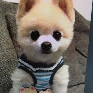 Meet your Posher, Donovan